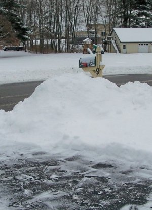snow 2-3-25.jpg