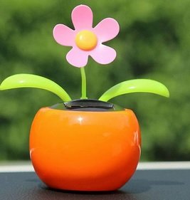 dancing flower.jpg dancing flower.jpg