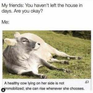 IMG_0771.jpeg