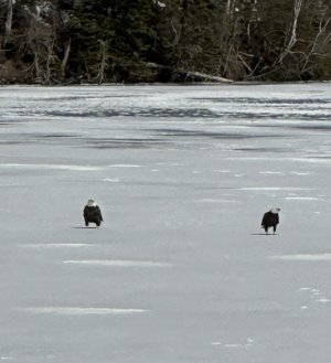 IMG_0120.jpeg