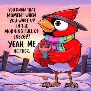 FB_IMG_1741633742548.jpg