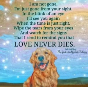 dog.heaven.jpg