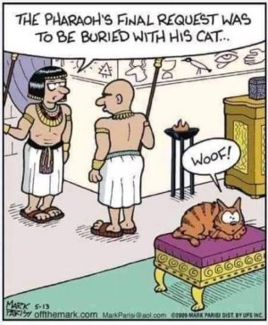 pharoah joke.jpg