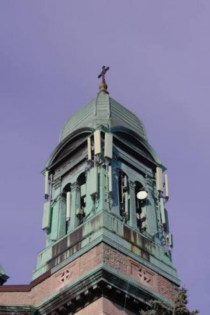 IMG_0265.jpeg