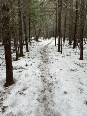 IMG_7900.jpeg