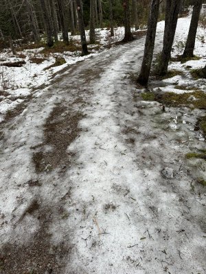 IMG_7901.jpeg