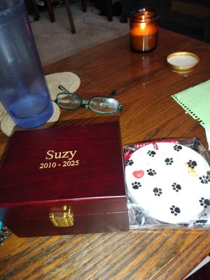 IMG_20250312_125034332.jpg