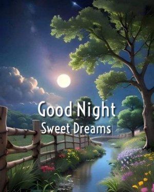 good night 10.jpg