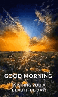 IMG_0795.gif