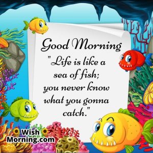 fish3.jpg