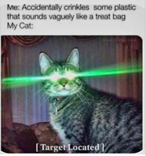 1000010266.jpg