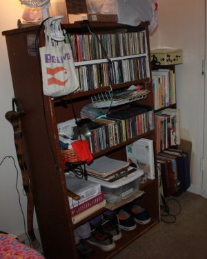 abookcase.JPG