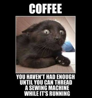 FB_IMG_1741789650884.jpg