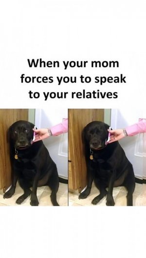 FB_IMG_1740092927338.jpg