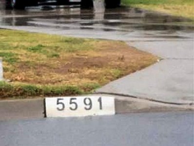 Number 5591 @.jpg