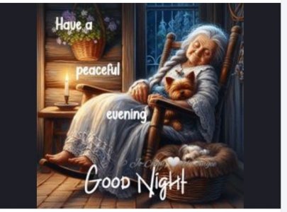good night ladt.jpeg