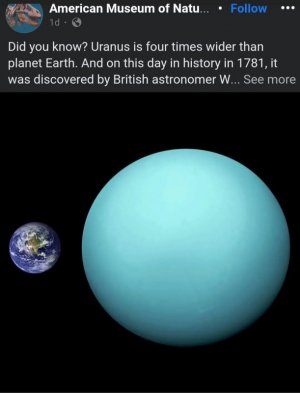 1000004527.jpg