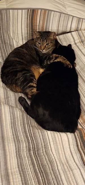 Andy Hugging Bugsy.JPG