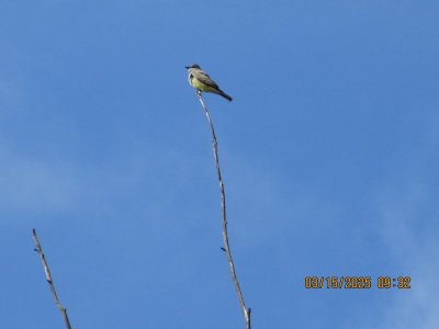 IMG_8265.JPG