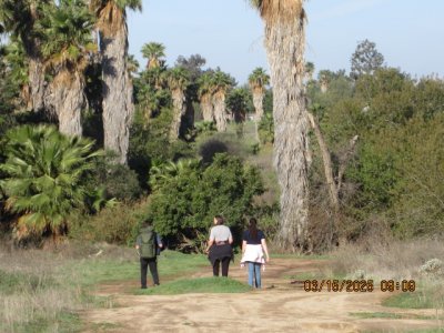 IMG_8251.JPG