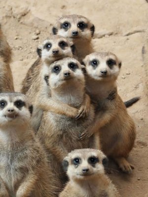 Family @.jpg