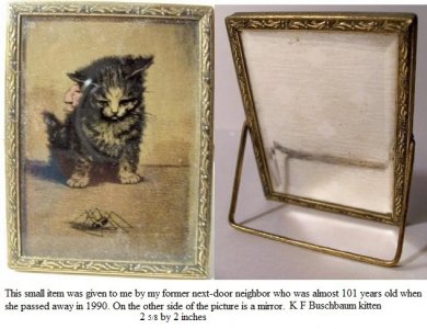 cat mirror.JPG