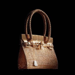 Sac-Bijou-Birkin-1-edited-1.jpg