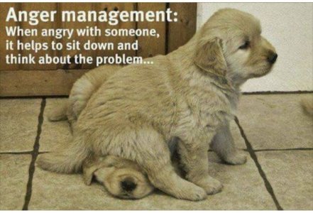 animalhumor.jpg