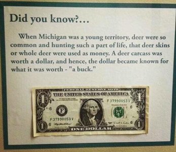 funfact.jpg