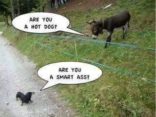 FB_IMG_1742003615100.jpg