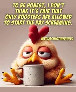 36bd8d0674dc565e695a79d48b044b68.jpg