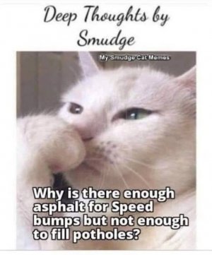 thumbnail.jpg