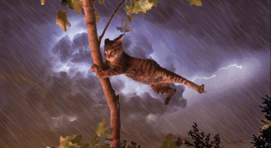 1742150377671.gif