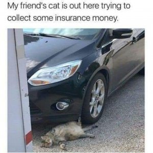 FB_IMG_1741990039563.jpg