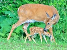 6e23a5505e4f7c0a8bddb2e0736dad67.jpg 6e23a5505e4f7c0a8bddb2e0736dad67.jpg