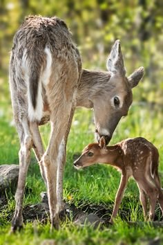 da995f93d356a070e36d623712f647f0.jpg da995f93d356a070e36d623712f647f0.jpg