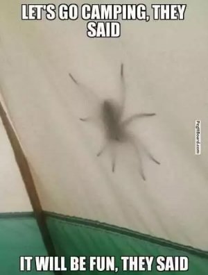 b262e847178319573c7e1b43d9da019d.jpg