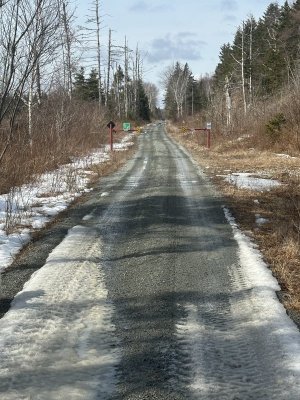 IMG_7971.jpeg