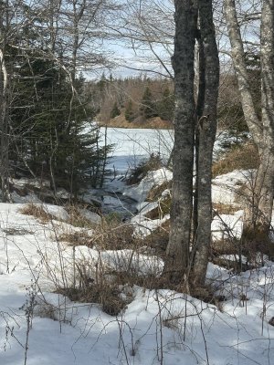 IMG_7972.jpeg