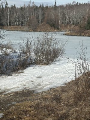 IMG_7973.jpeg