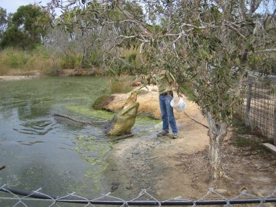 2233 Rocky Koorana Crocodile Farm.jpeg