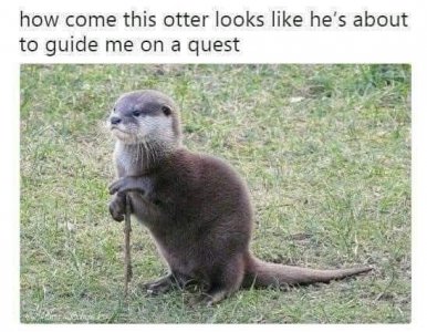 FB_IMG_1742198159399.jpg