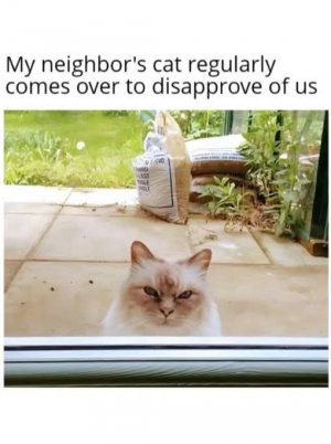 FB_IMG_1741789871665.jpg