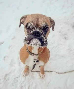 cold.jpg