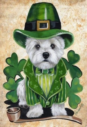 westie.jpg