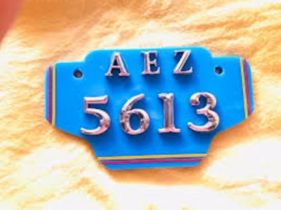 Number 5613 @.jpg
