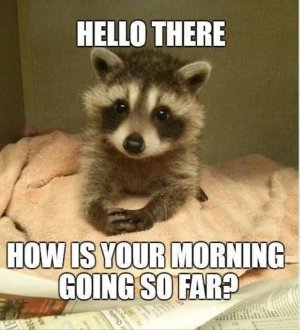 FB_IMG_1742337947085.jpg