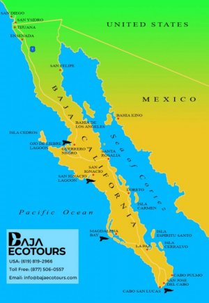 baja-map.jpg baja-map.jpg