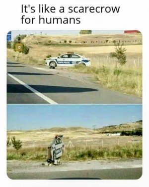 481223152_967629708859043_8192006336673170119_n~2.jpg