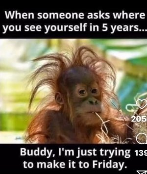 1000004721.jpg